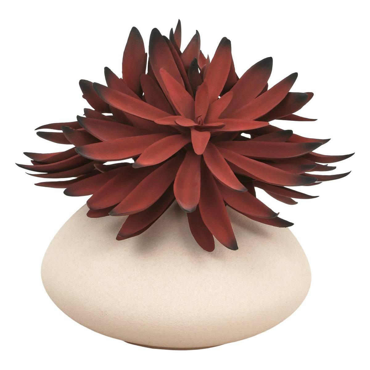Nyer assorted plant 28 cm – additional view 0