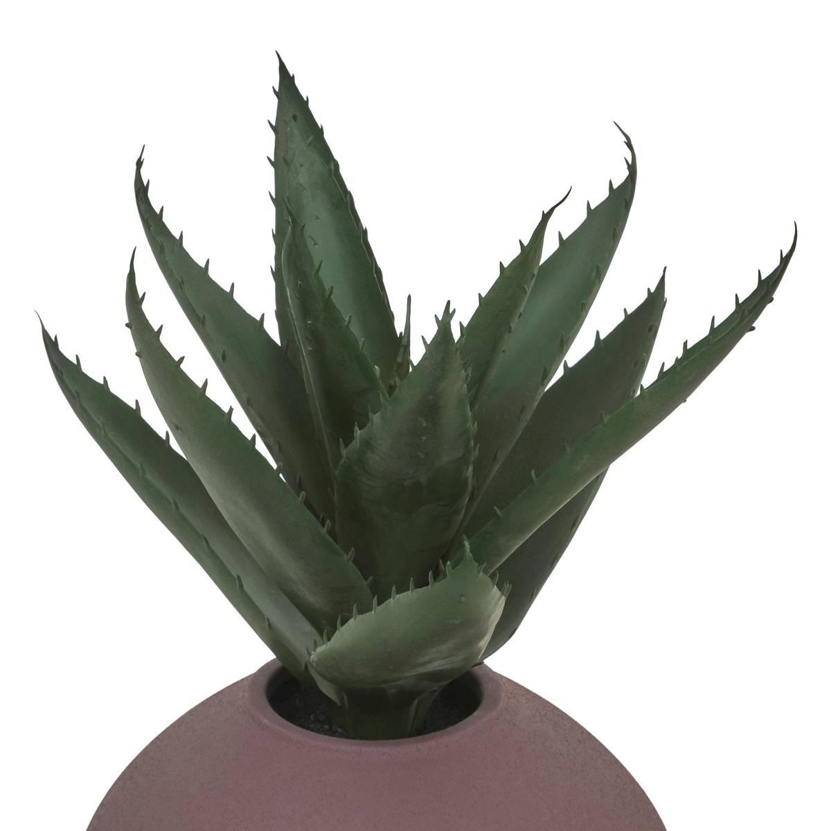 Nyer assorted plant 28 cm – additional view 4