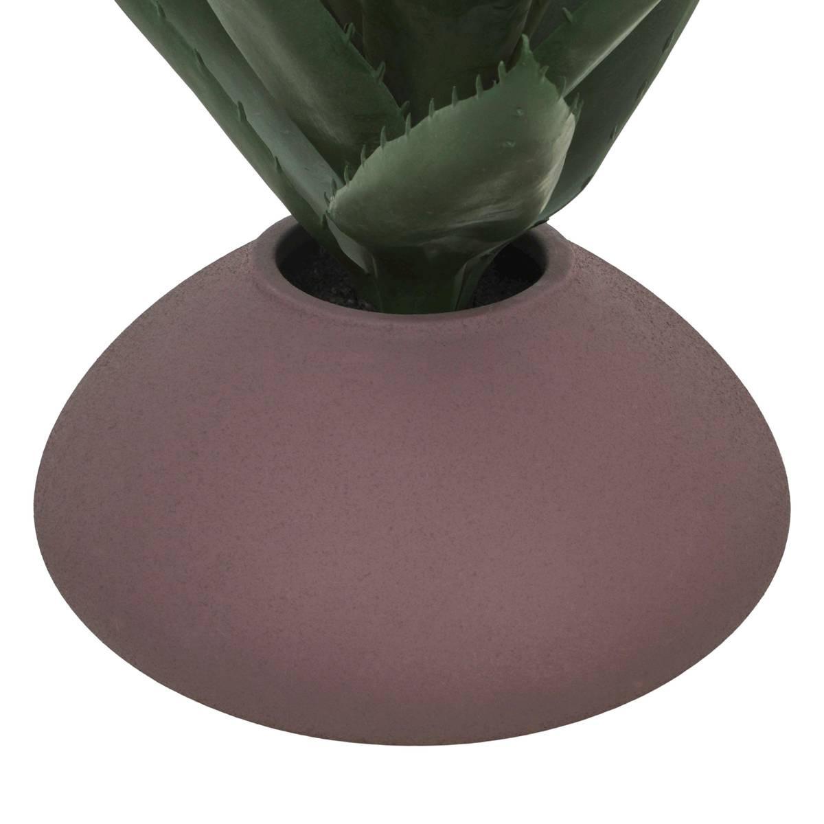 Nyer assorted plant 28 cm – additional view 5