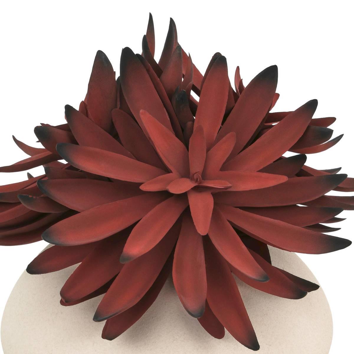 Nyer assorted plant 28 cm – additional view 6