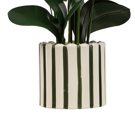 Изкуствено растение atmosphera Orchid Asia, 62 cm, Керамика