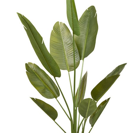 Изкуствено растение atmosphera Lora Banana, 200 cm