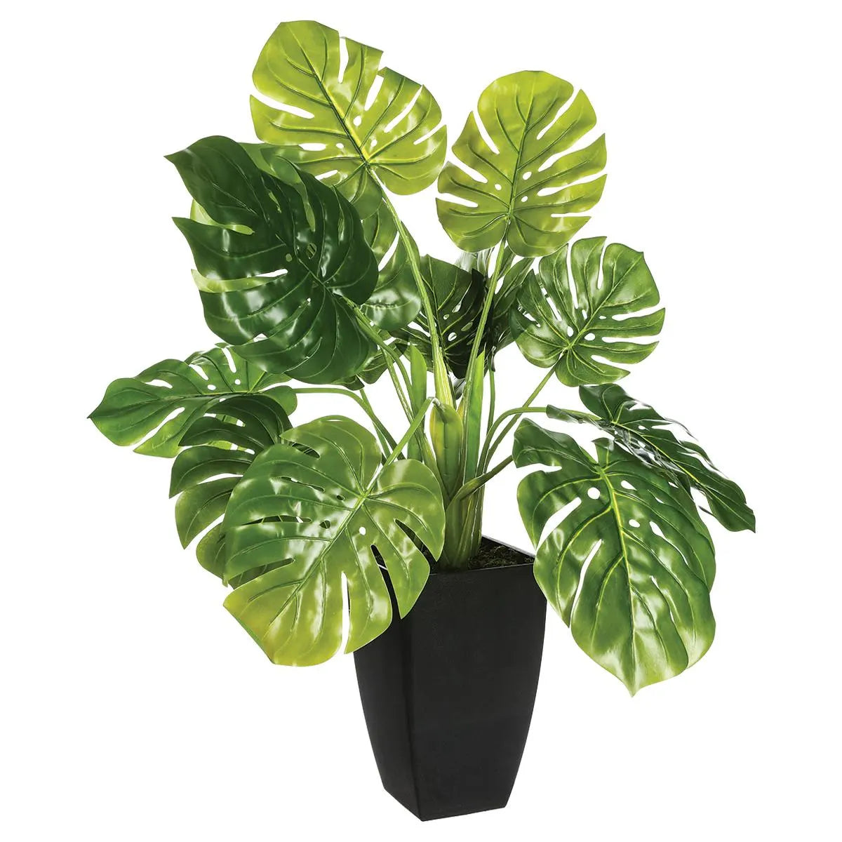 Изкуствено растение atmosphera Green, 70 cm