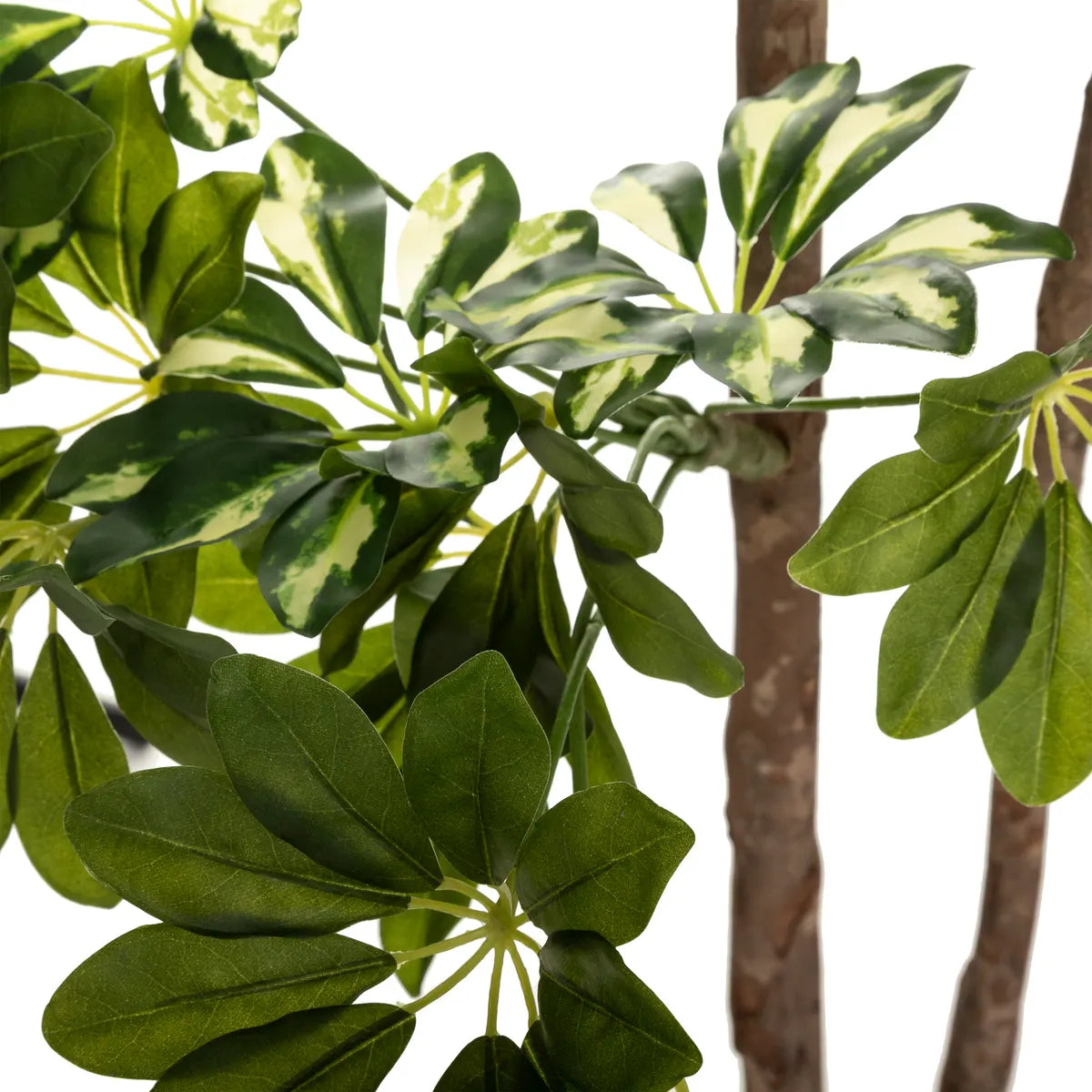 Изкуствено растение atmosphera Schefflera, 130 cm
