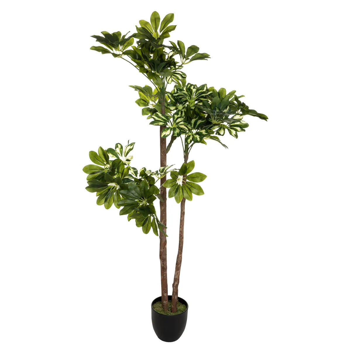 Изкуствено растение atmosphera Schefflera, 130 cm