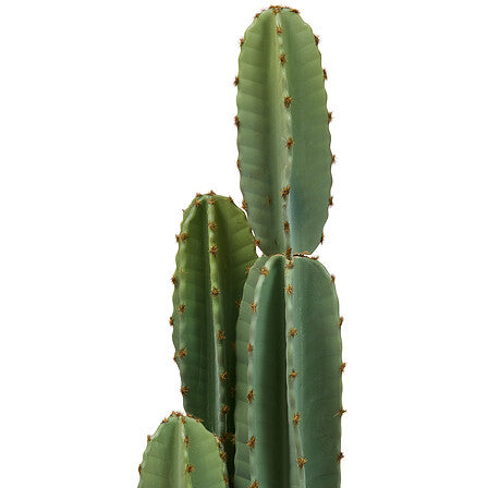 Изкуствено растение atmosphera Sien Cactus, 132 cm