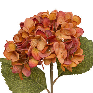 Tulpină decorativă de hortensie Atmosphera Fria, Asortate, 62 cm