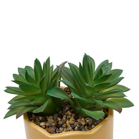 Plantă artificială Atmosphere Chéri, 17 cm, diverse specii
