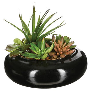 Aranjament de plante artificiale Atmosphere, H.6cm, Ceramică