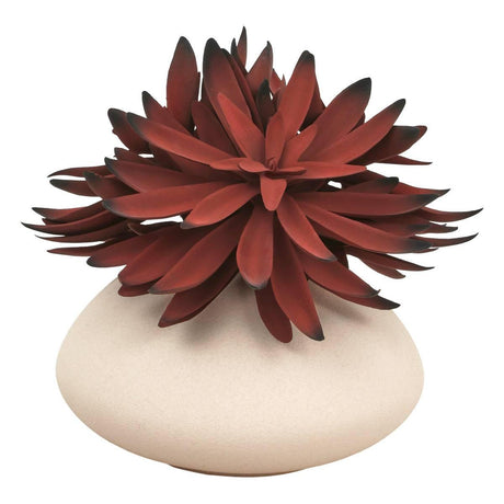 Nyer assorted plant 28 cm – additional view 0