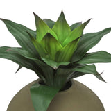 Nyer assorted plant 28 cm – additional view 2