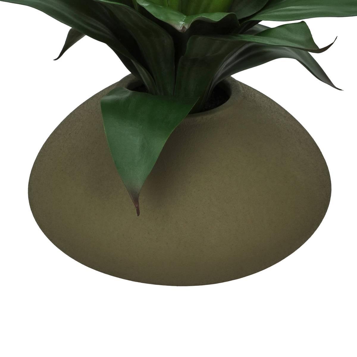 Nyer assorted plant 28 cm – additional view 3