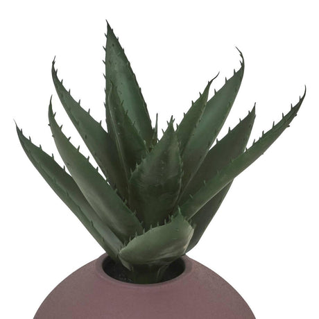 Nyer assorted plant 28 cm – additional view 4