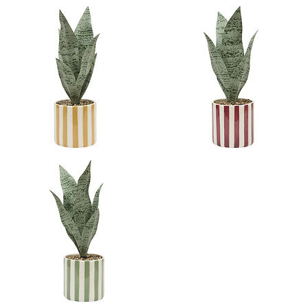 Atmosfera de plante artificiale Sansevieria Chéri, 38 cm