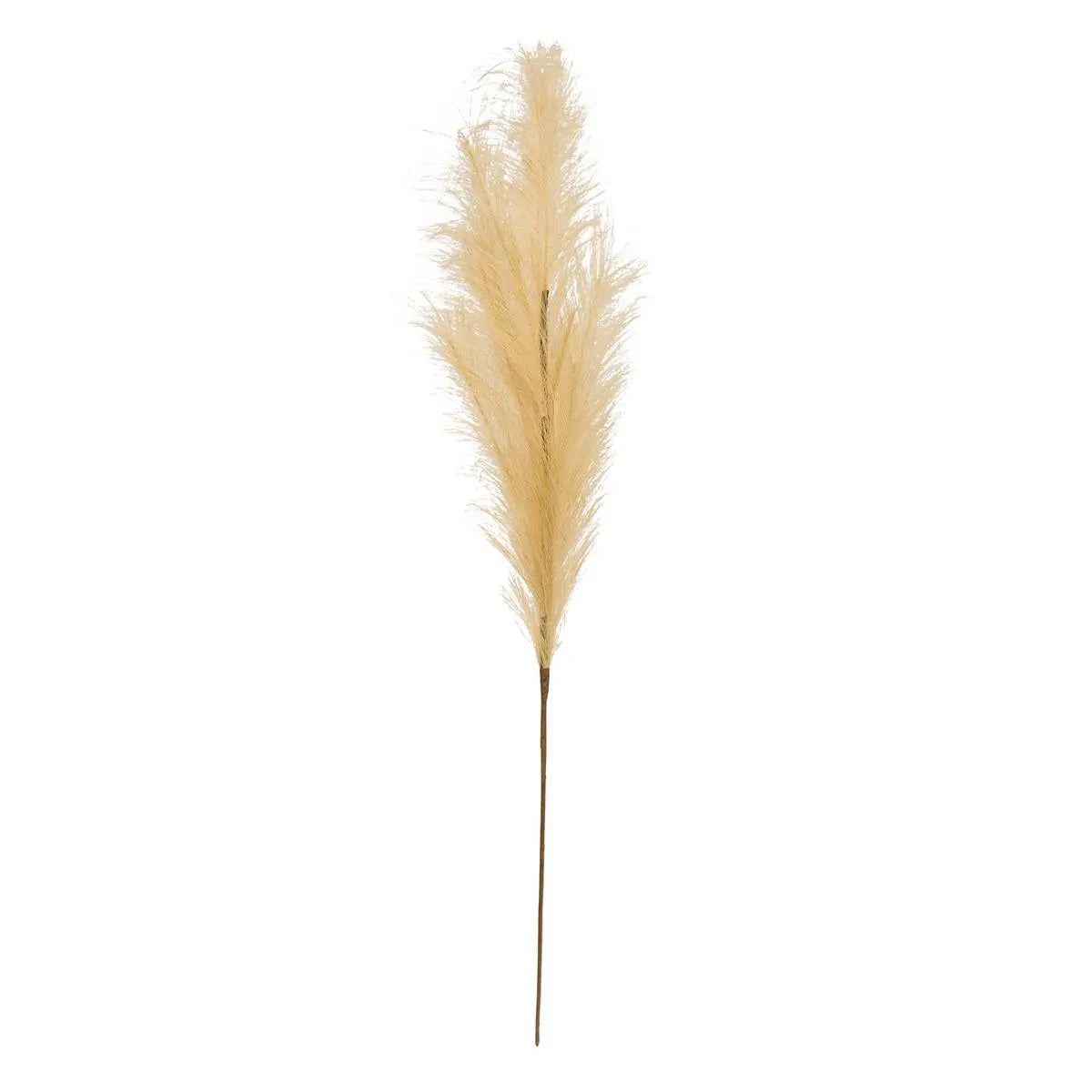 Ramura artificiala de pampas atmosfera Adna, Bej, 90 cm