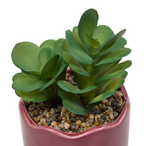 Plantă artificială Atmosphere Chéri, 17 cm, diverse specii