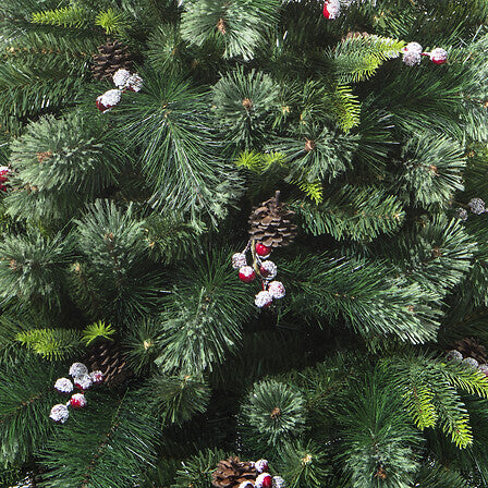 Wyoming tree height 400 cm green