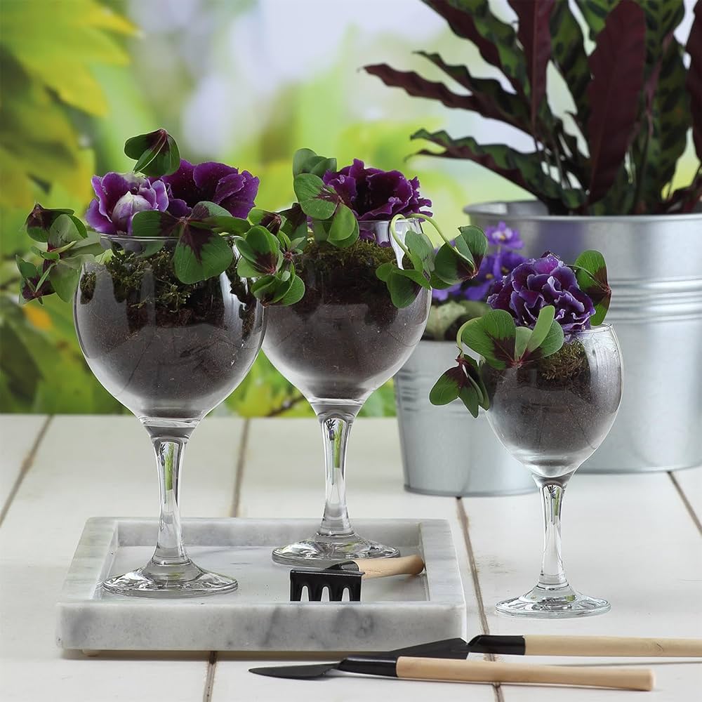 Set pahare cu apă LAV Misket, 260 ml, 6 buc.