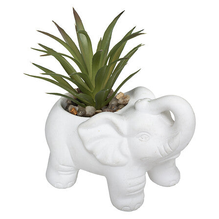 Plantă artificială Atmosphere Buddha, 10 cm, diverse specii
