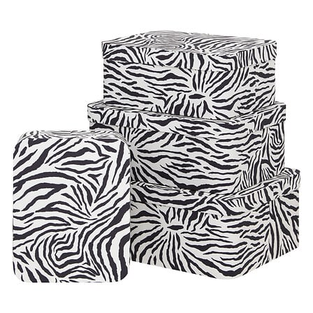 Комплект 4 картонени кутии 5five Polybox Zebra