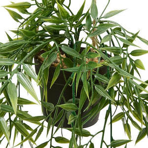 Plantă artificială Atmosphera Liora, bambus suspendat, 67 cm