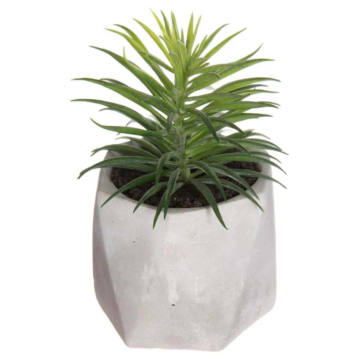 Suculentă artificială Atmosphere, 14 cm, diverse specii