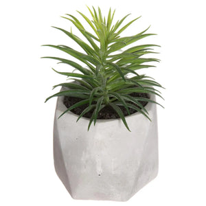 Suculentă artificială Atmosphere, 14 cm, diverse specii