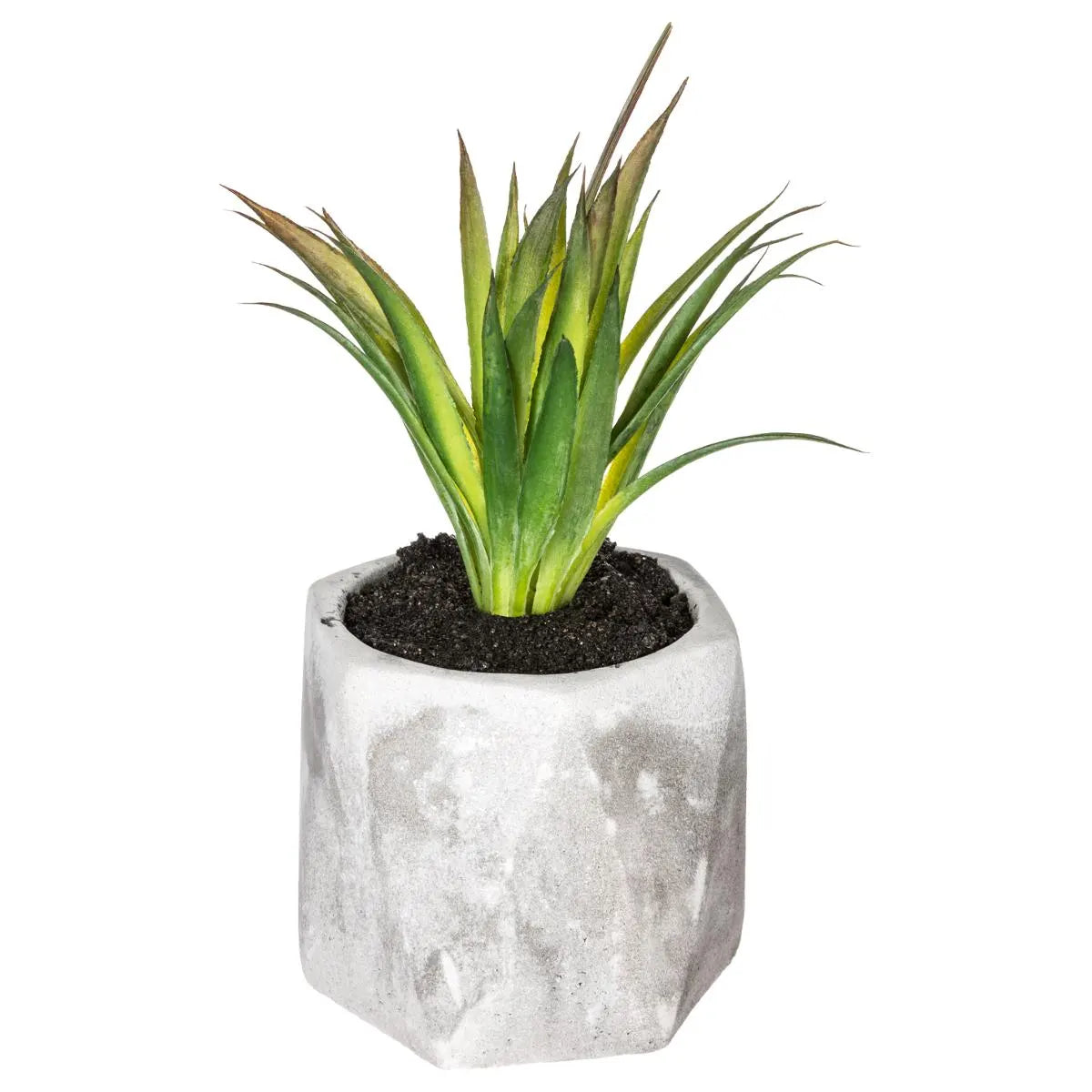Suculentă artificială Atmosphere, 14 cm, diverse specii