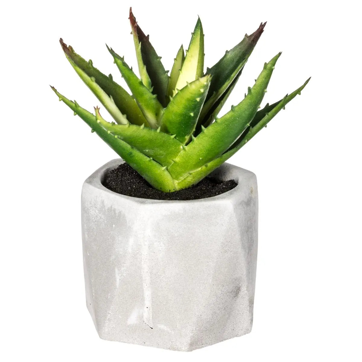 Suculentă artificială Atmosphere, 14 cm, diverse specii
