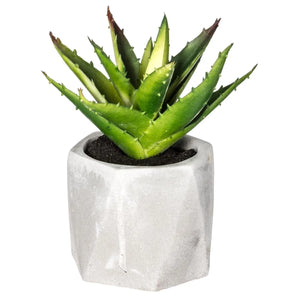 Suculentă artificială Atmosphere, 14 cm, diverse specii