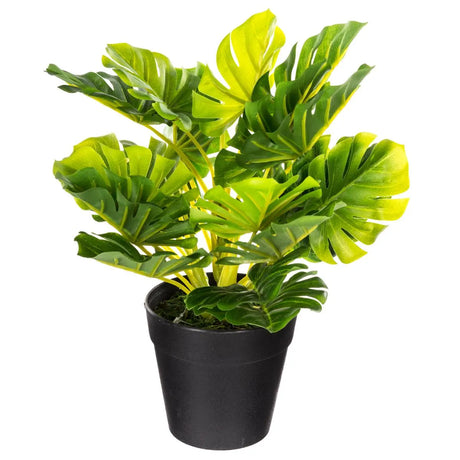 Atmosferă vegetală artificială, 30 cm, diverse specii