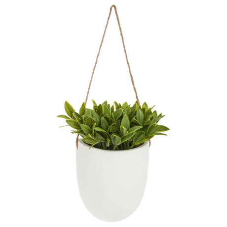 Atmosferă de plantă artificială suspendată, 20 cm, diverse specii