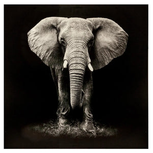 Tablou atmosferă Elefant, Imprimeu pe pânză 100x100 cm