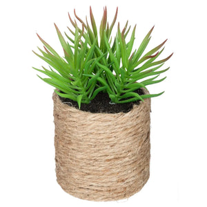Atmosferă vegetală artificială, 16 cm, diverse specii