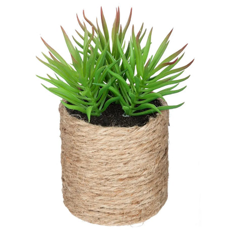 Atmosferă vegetală artificială, 16 cm, diverse specii