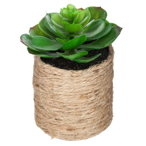 Atmosferă vegetală artificială, 16 cm, diverse specii