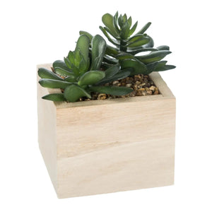Atmosferă vegetală artificială, 14 cm, diverse specii