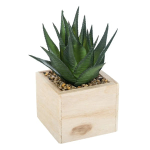 Atmosferă vegetală artificială, 14 cm, diverse specii