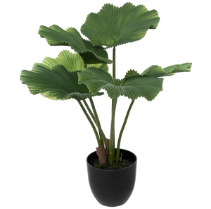 Atmosferă de plantă artificială Palmier