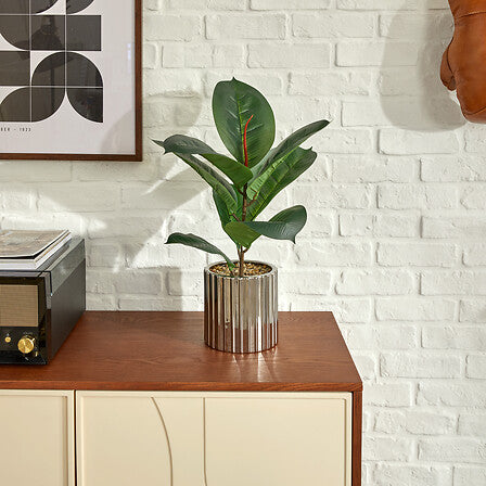 Plantă artificială Atmosphera Ficus Sky, 54 cm