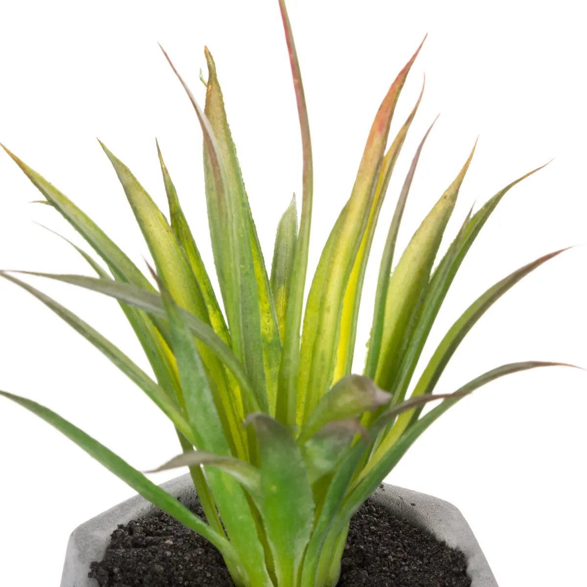 Suculentă artificială Atmosphere, 14 cm, diverse specii