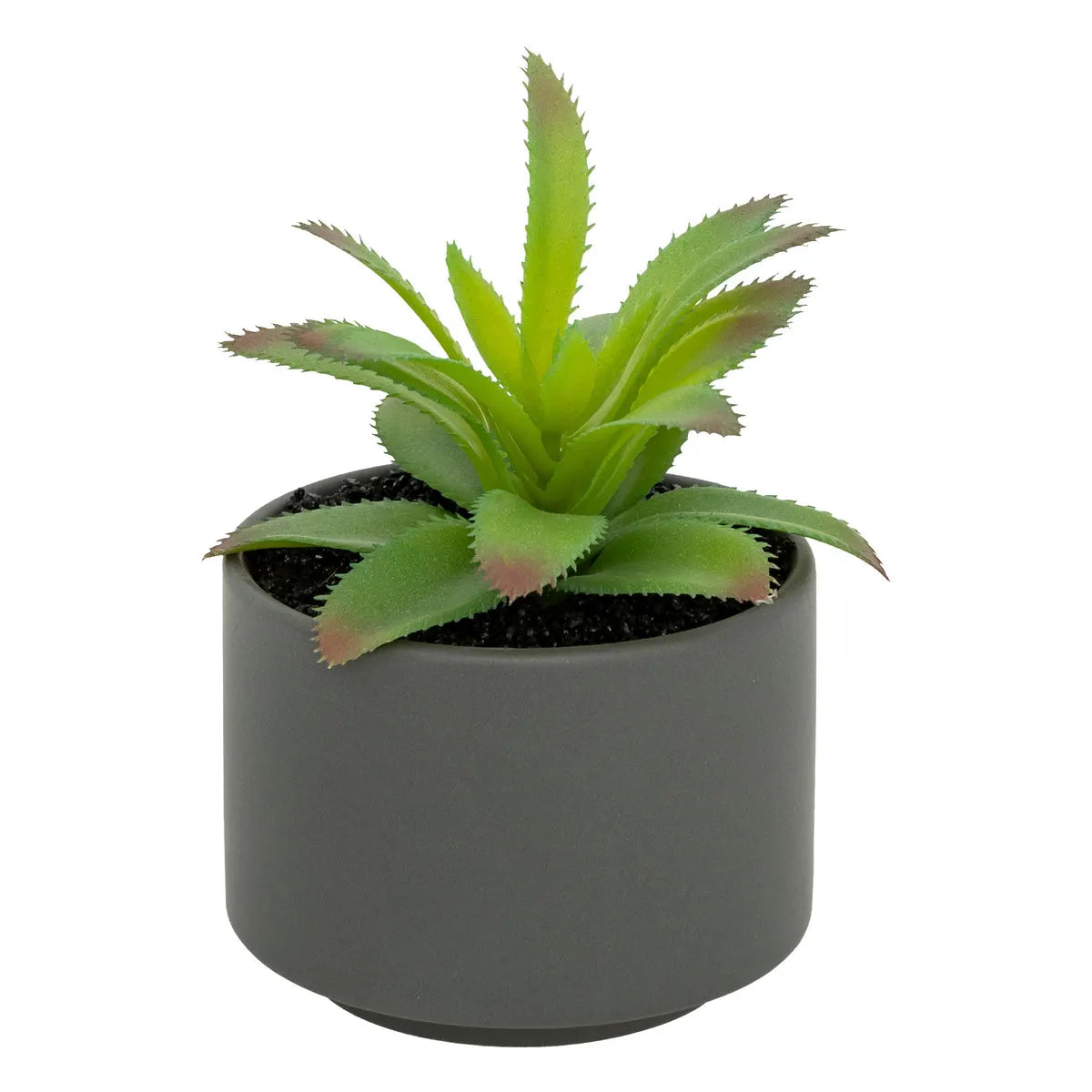 Suculentă artificială Atmosphere, 13 cm, diverse specii
