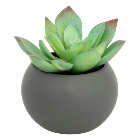 Suculentă artificială Atmosphere, 13 cm, diverse specii