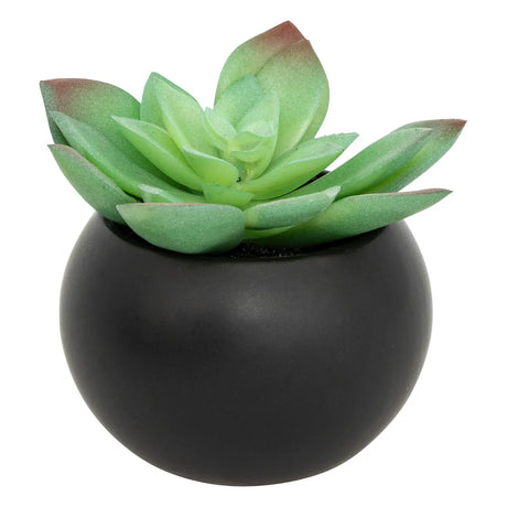Suculentă artificială Atmosphere, 13 cm, diverse specii