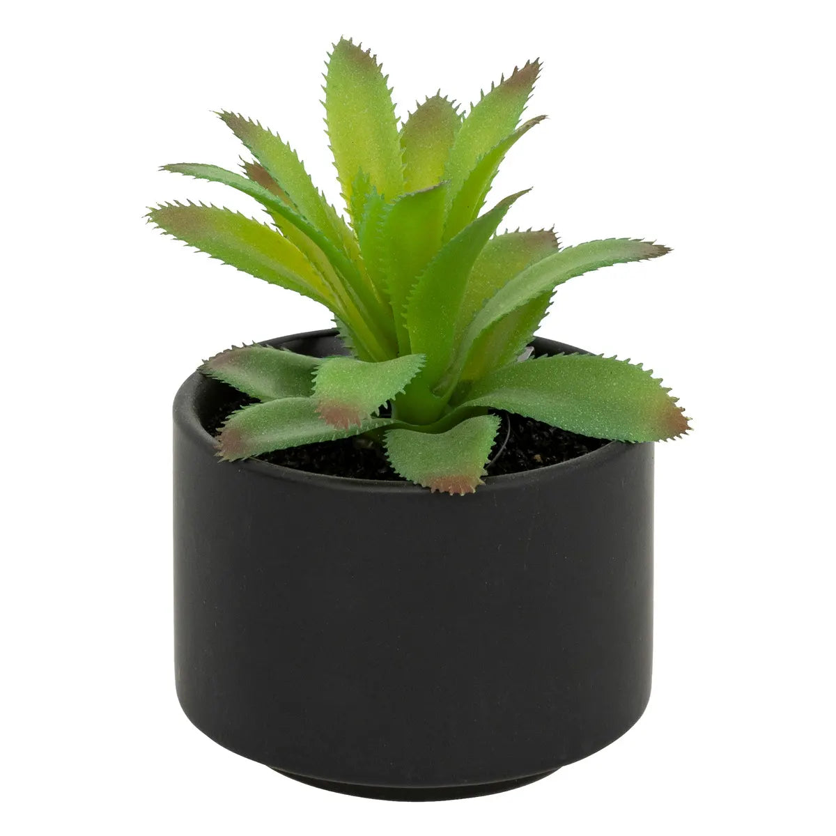 Suculentă artificială Atmosphere, 13 cm, diverse specii
