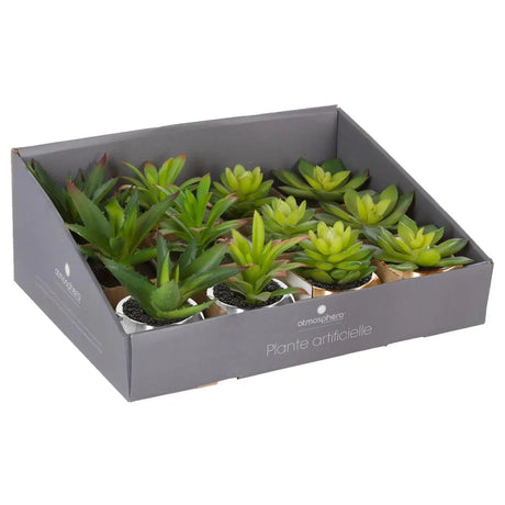 Atmosferă vegetală artificială, 15 cm, diverse specii