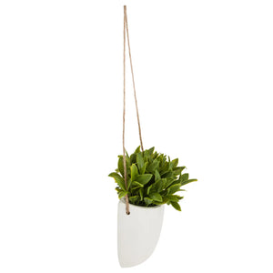 Atmosferă de plantă artificială suspendată, 20 cm, diverse specii