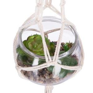 Atmosferă de plantă artificială Nomade, 10 cm