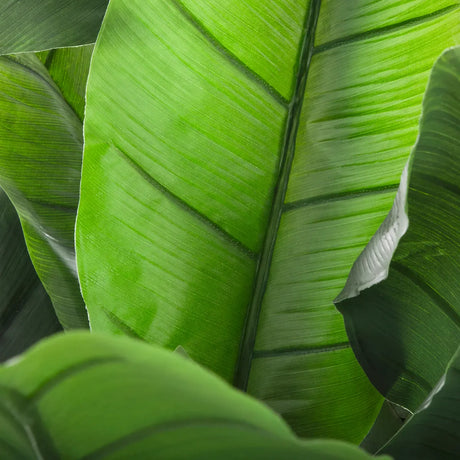 Plantă artificială Atmosphera Bananier, 170 cm