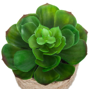 Atmosferă vegetală artificială, 16 cm, diverse specii